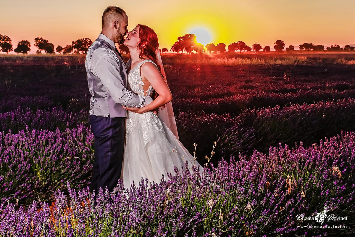 Pareja besándose en un campo de lavanda con el sol poniéndose detrás